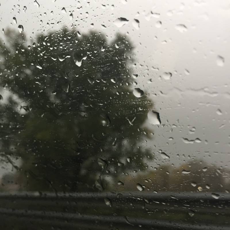 Fotosegnalazione di Cinisello balsamo
