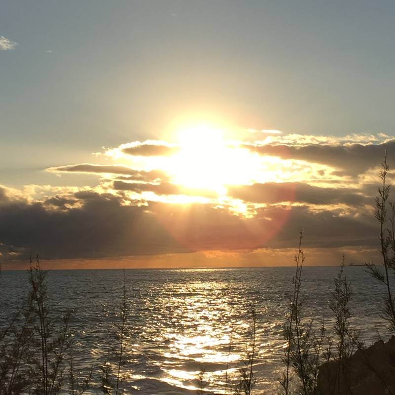 Fotosegnalazione di Genova nervi