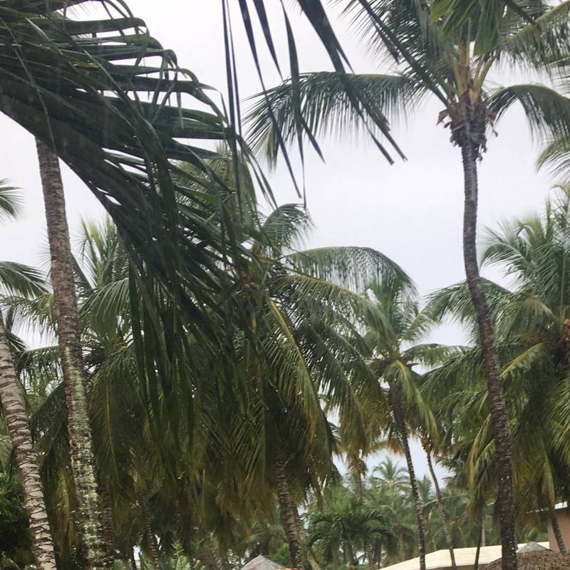 Fotosegnalazione di Bayahibe