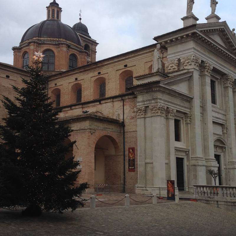 Fotosegnalazione di Urbino
