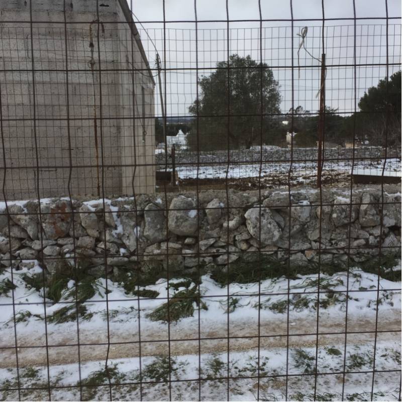 Fotosegnalazione di Martina franca