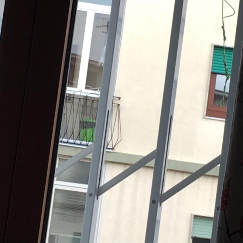 Fotosegnalazione di Napoli vomero