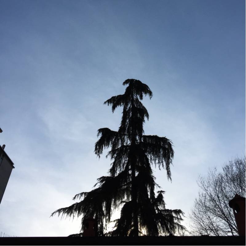 Fotosegnalazione di Sesto san giovanni