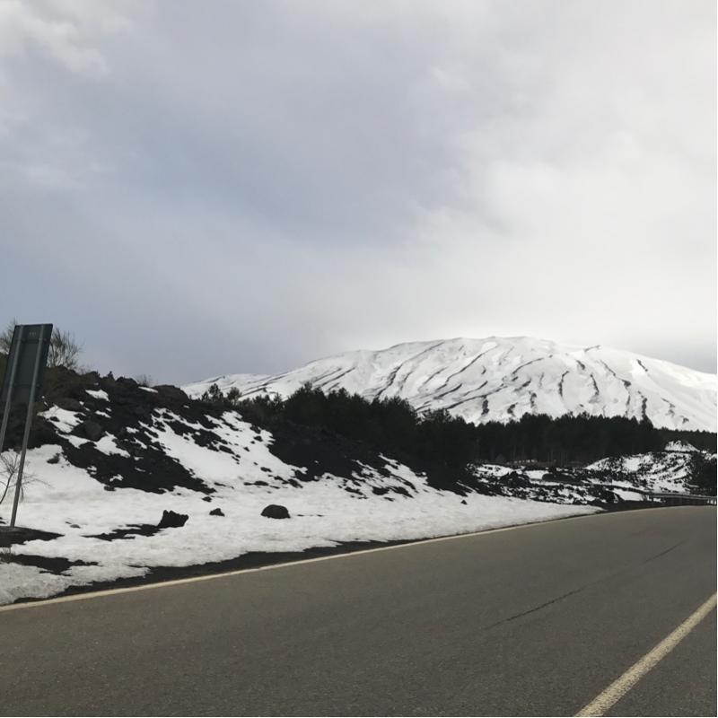 Fotosegnalazione di Piano provenzana