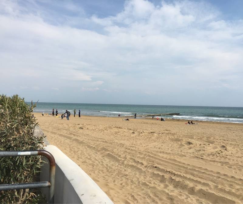 Fotosegnalazione di Lignano pineta