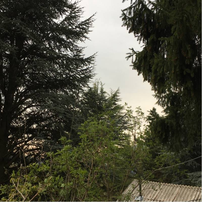 Fotosegnalazione di Ferrara di monte baldo