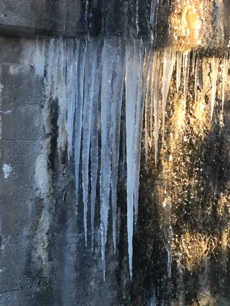 gelo 8 gennaio 2017