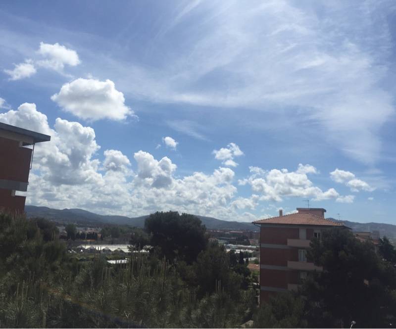 Fotosegnalazione di Livorno