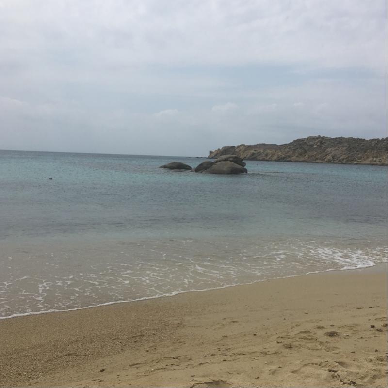 Fotosegnalazione di Platis yalos