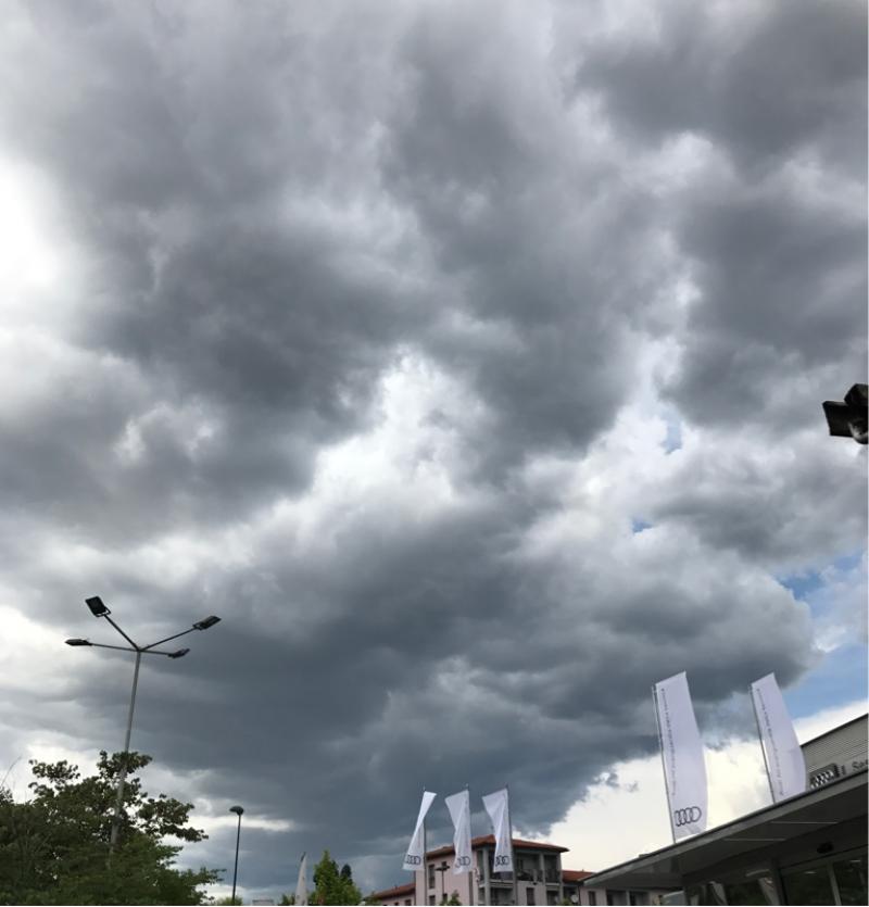Fotosegnalazione di Sesto san giovanni