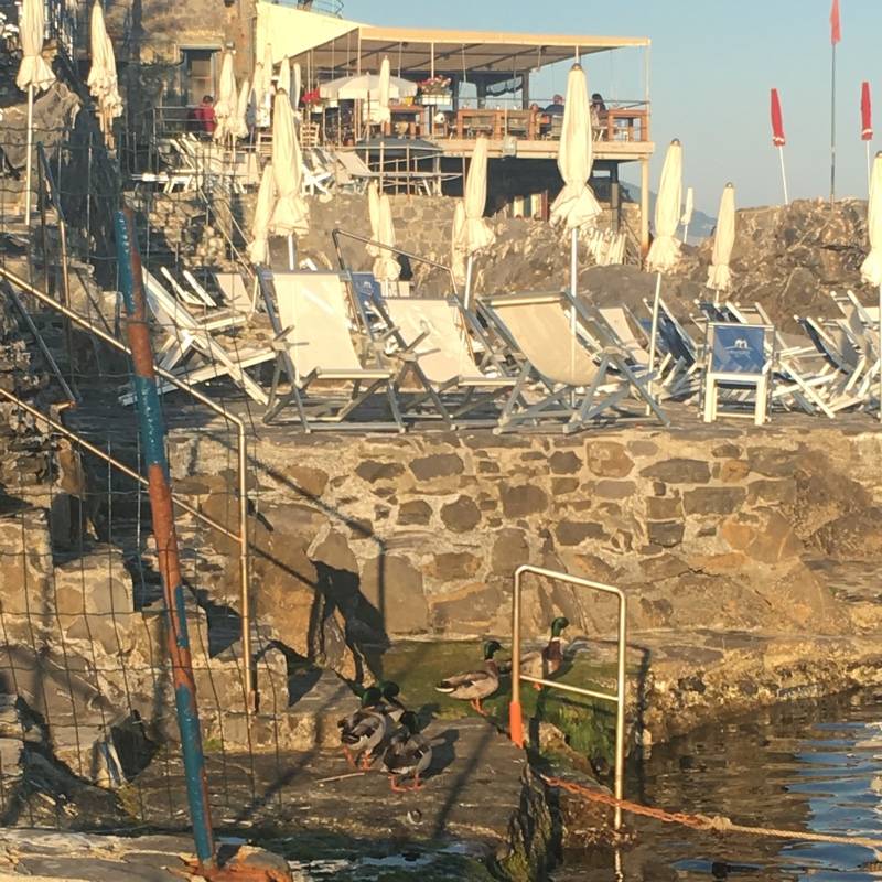 Fotosegnalazione di Genova nervi