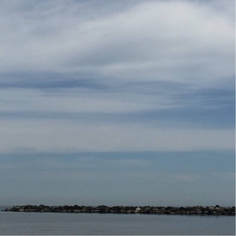 Fotosegnalazione di Bellaria igea marina