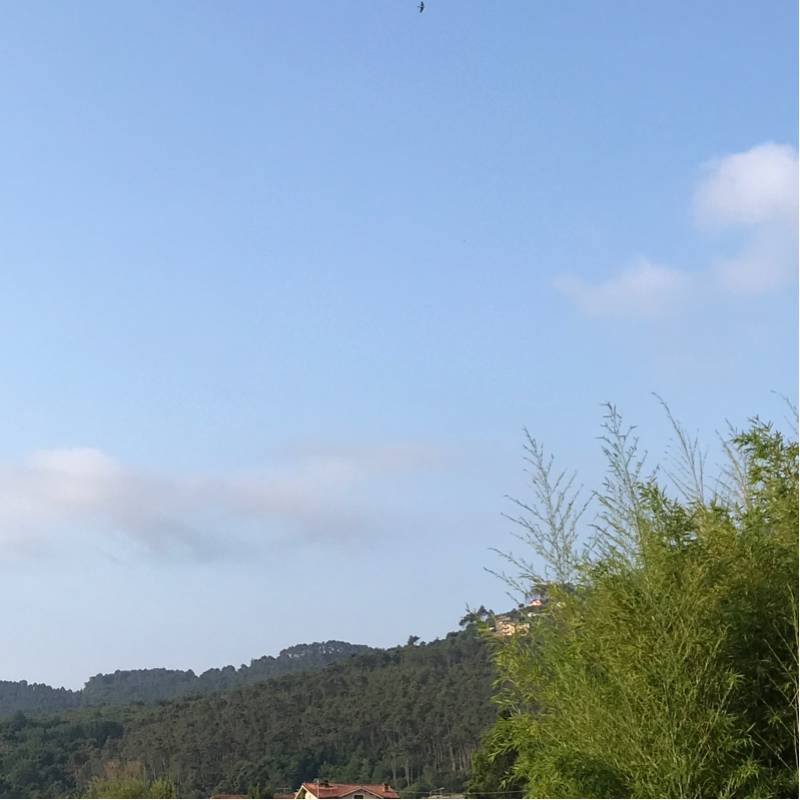 Fotosegnalazione di Ameglia