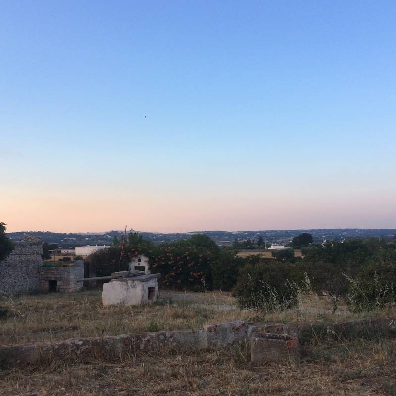 Fotosegnalazione di Martina franca