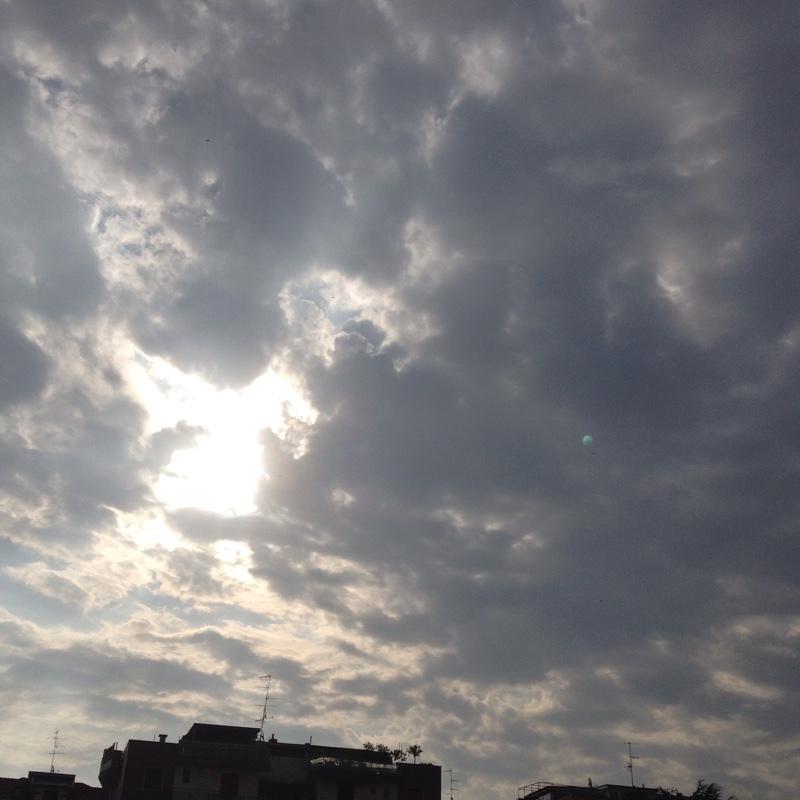 Fotosegnalazione di Milano niguarda