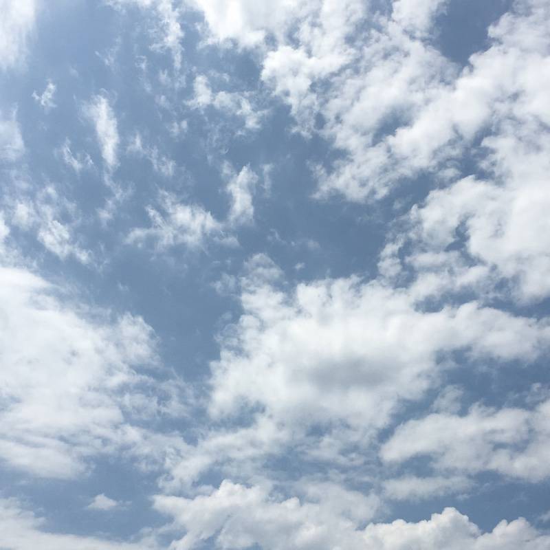 Fotosegnalazione di Terno d'isola