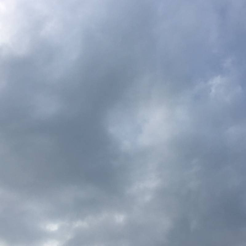 Fotosegnalazione di Terno d'isola