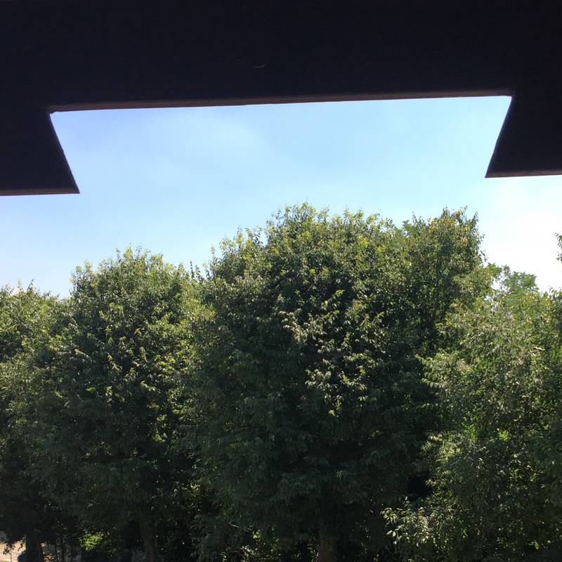 Fotosegnalazione di Ponte san pietro