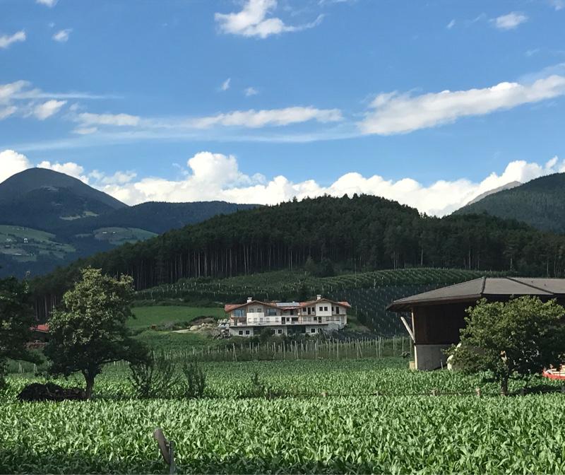 Fotosegnalazione di Naz sciaves