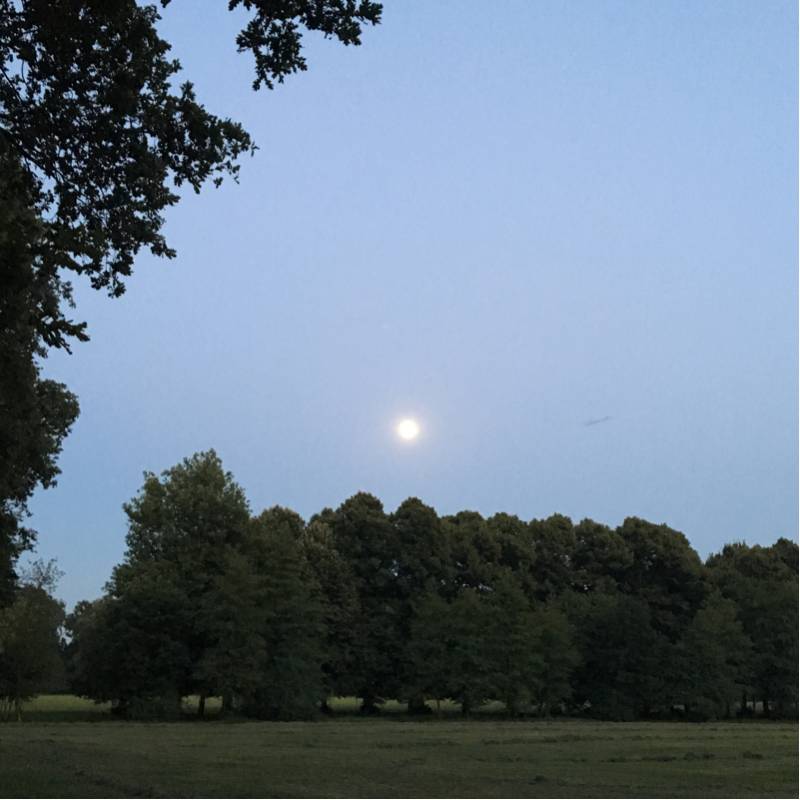 Luna al parco di monza