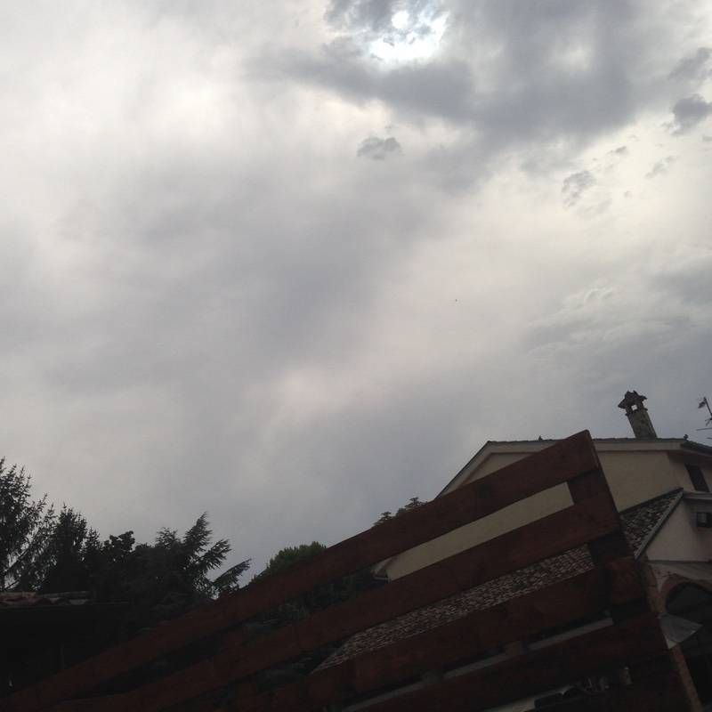 Fotosegnalazione di Parma verdi