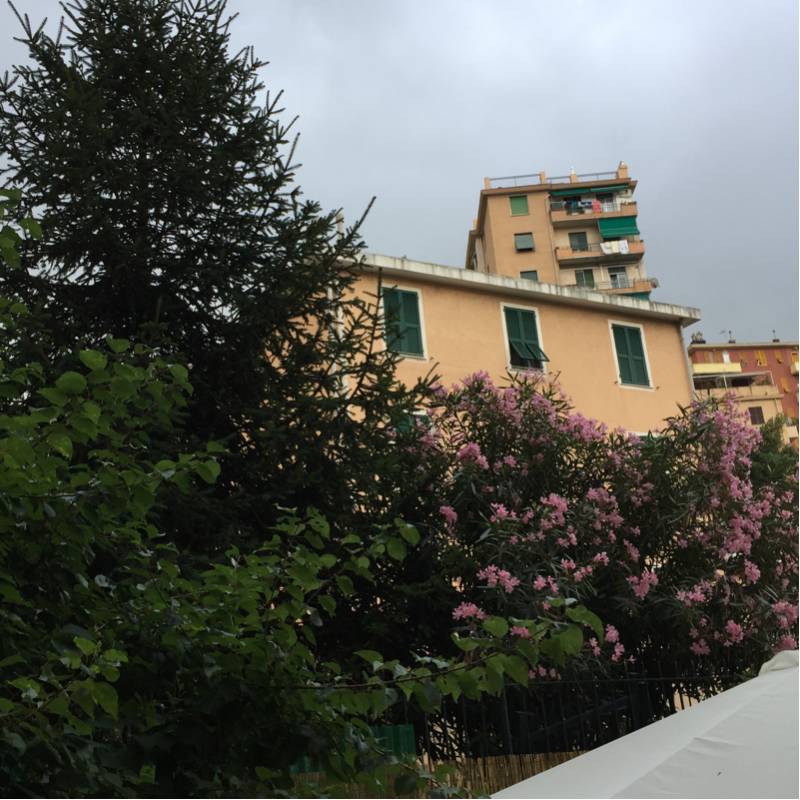 Fotosegnalazione di Genova cornigliano ligure