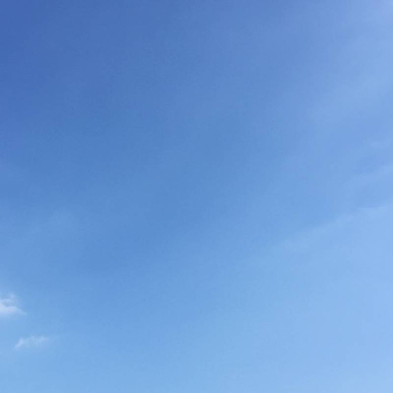 Fotosegnalazione di Gazzaniga