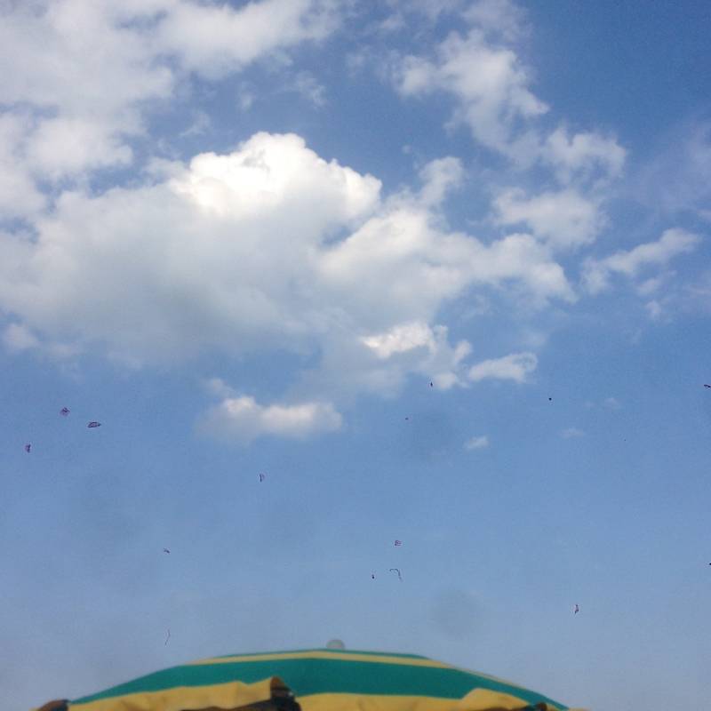 Fotosegnalazione di Lido di pomposa