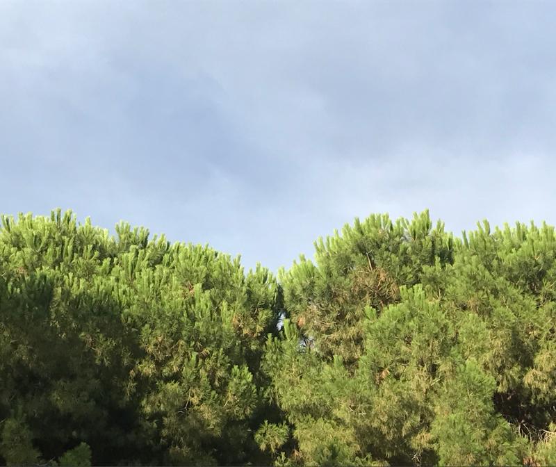 foto-meteo-finale-ligure-3b-meteo