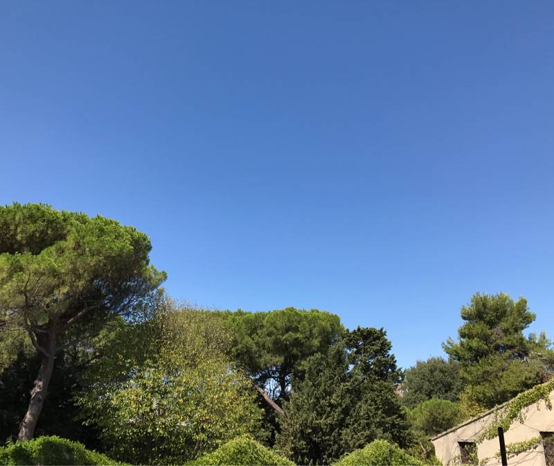 Fotosegnalazione di Porto recanati