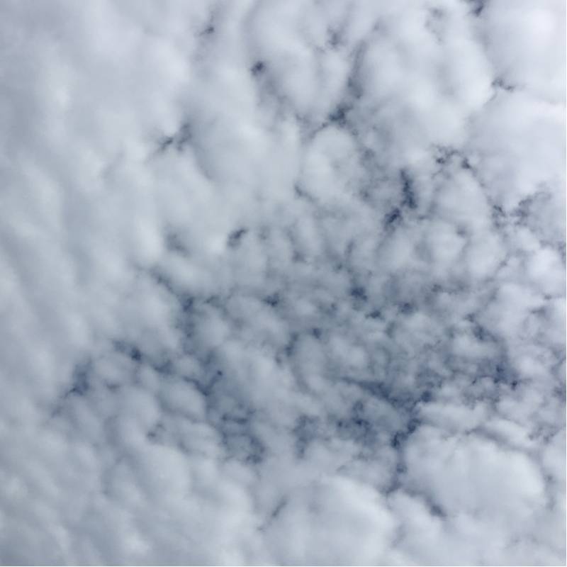 Fotosegnalazione di Ceriale