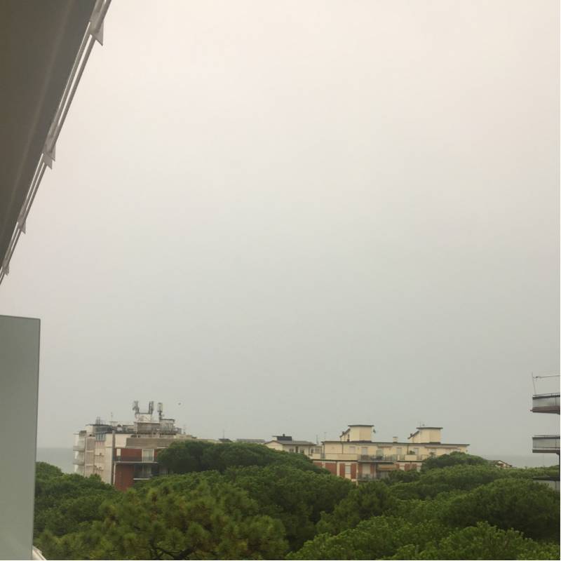 Fotosegnalazione di Milano marittima
