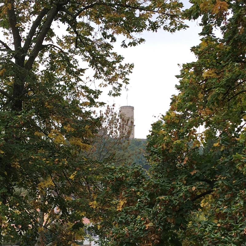 La torre di bad godesberg 