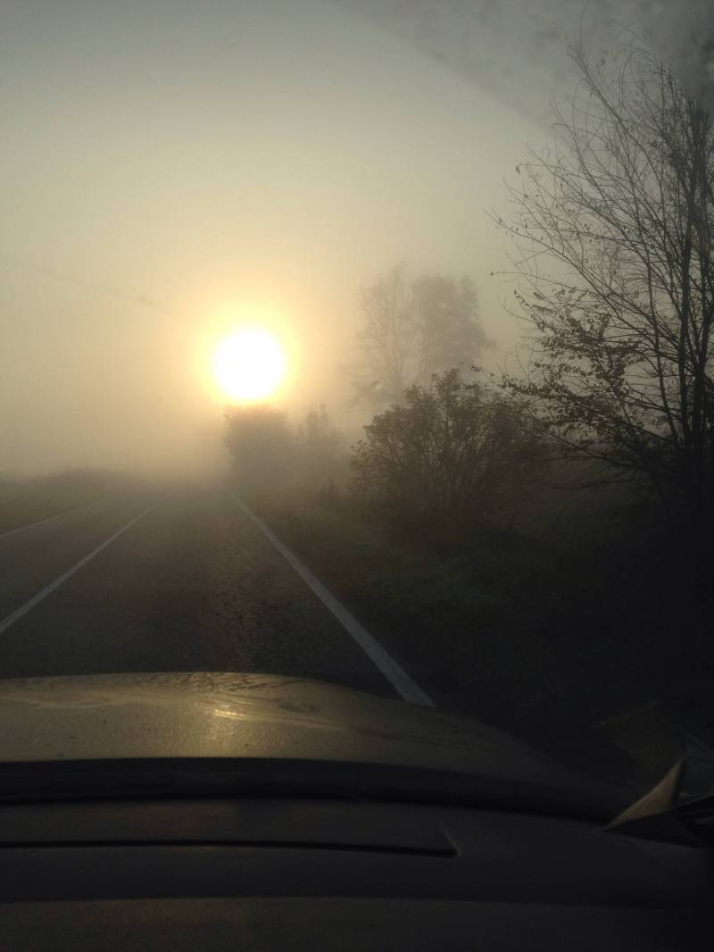 Nebbia in macchina