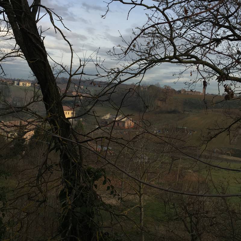 Fotosegnalazione di castelvetro di modena