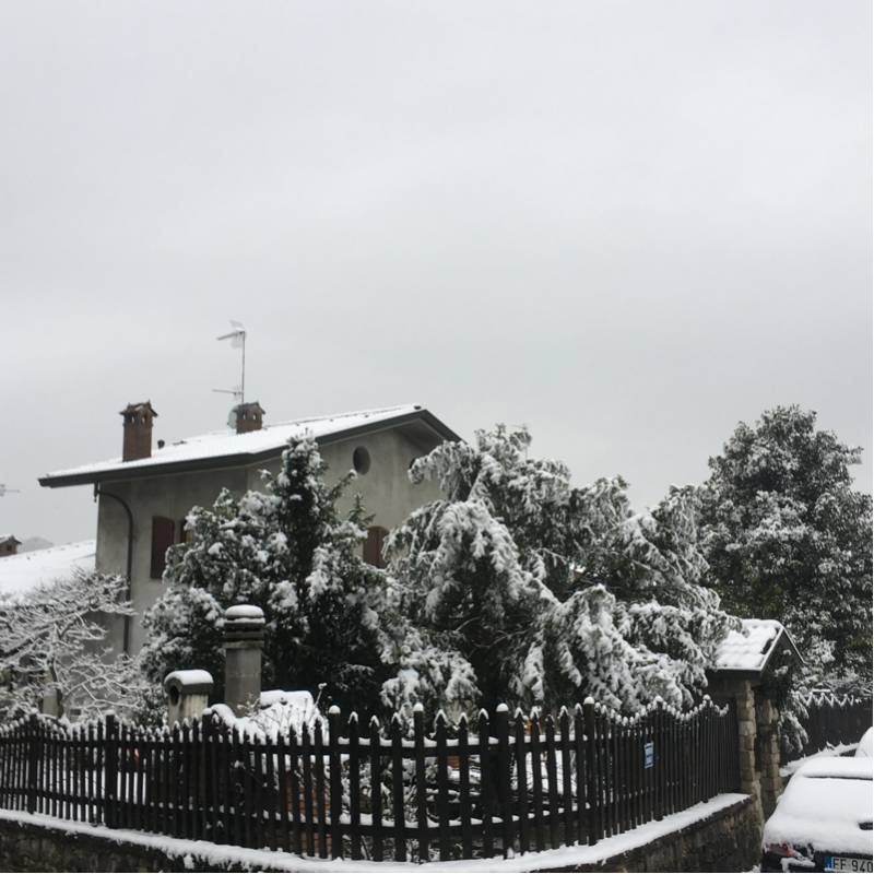 Finaly snow