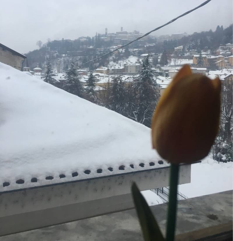 Fotosegnalazione di Mondovi'
