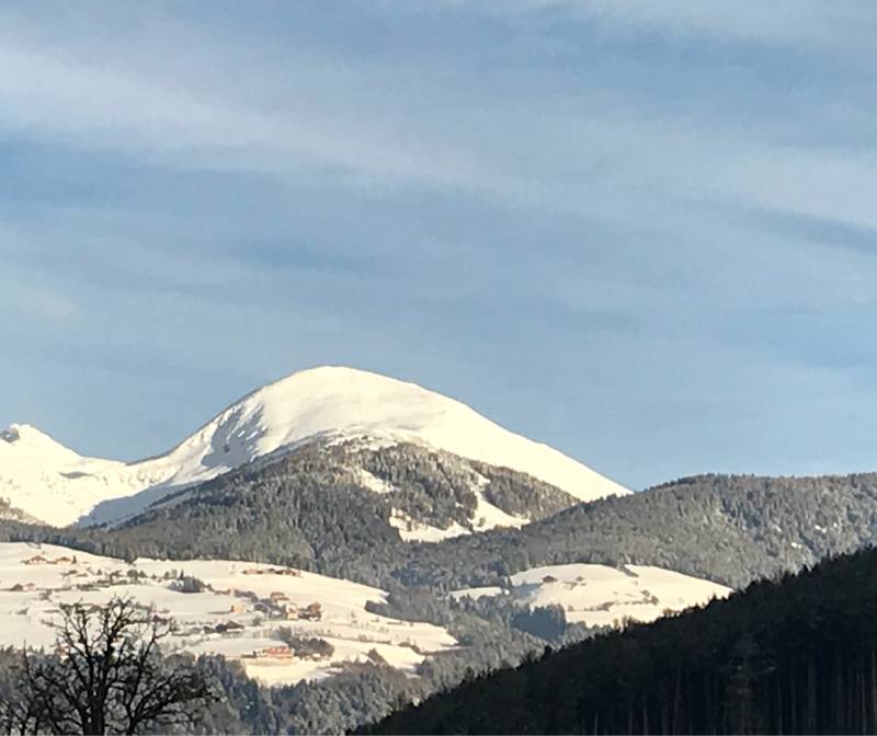 Fotosegnalazione di Naz sciaves