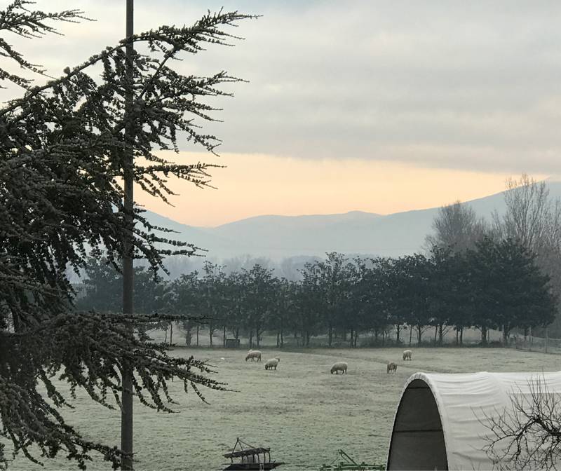 Fotosegnalazione di Poggio a caiano