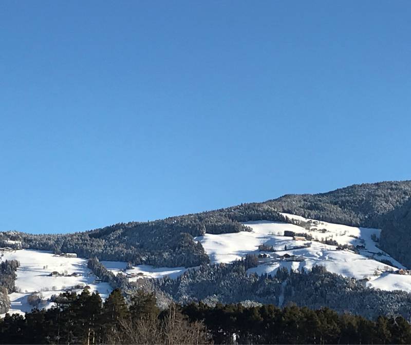 Fotosegnalazione di Naz sciaves