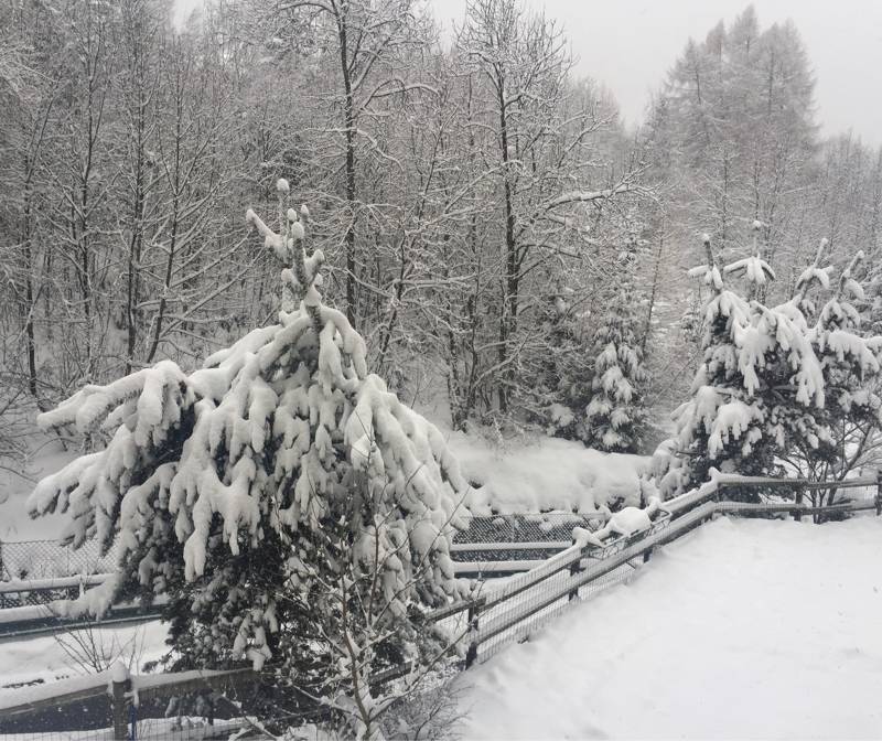 Neve a ponte di legno