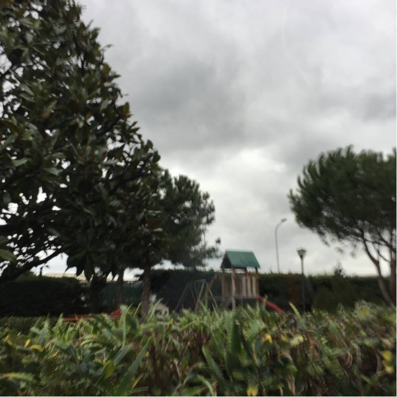 Fotosegnalazione di Torre annunziata