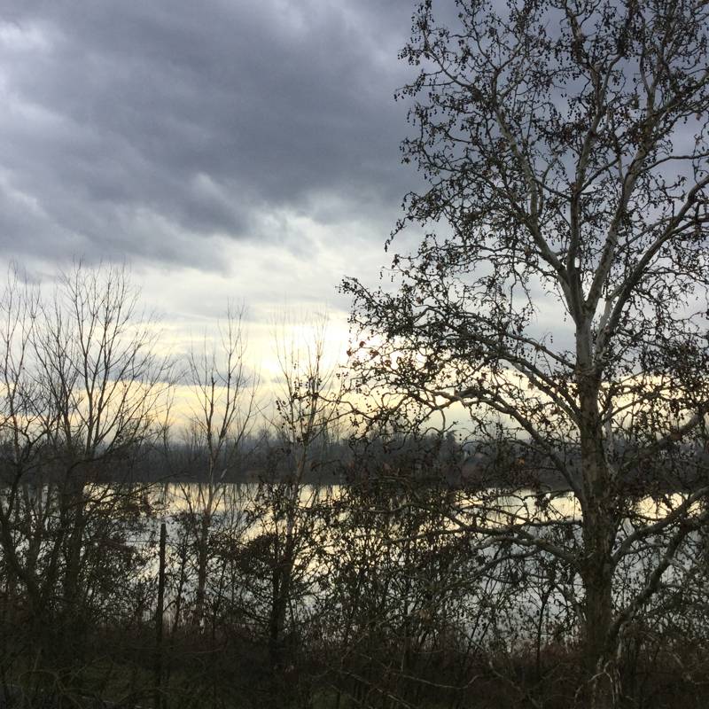 Fotosegnalazione di Rio saliceto