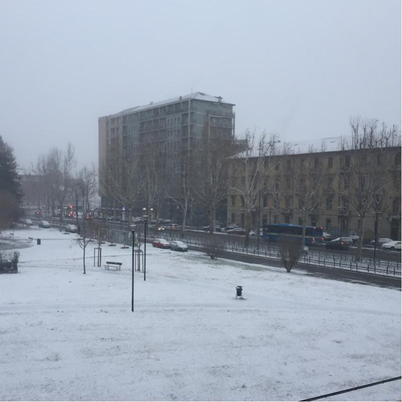 Fotosegnalazione di Torino