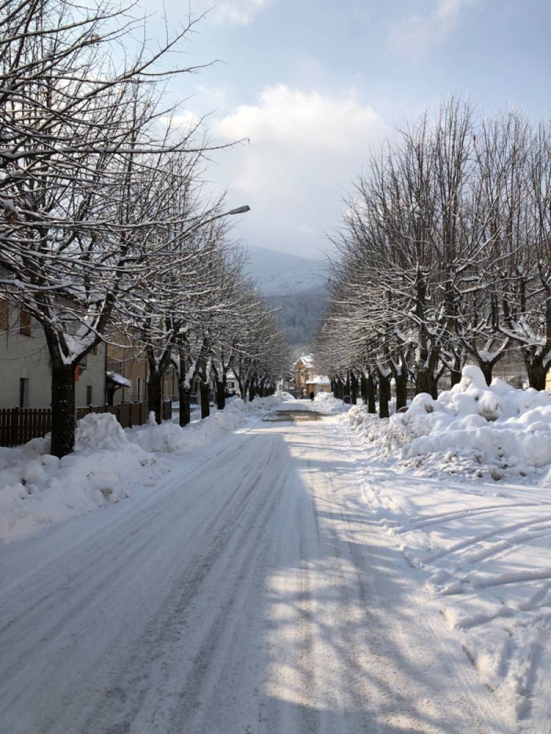 Valgrana innevata