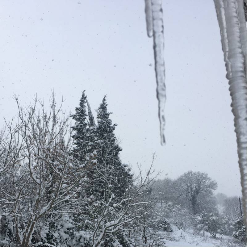 Fotosegnalazione di Senigallia