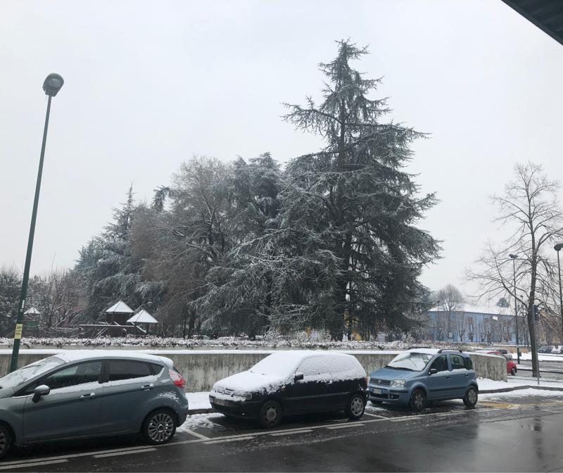 Fotosegnalazione di Paderno dugnano