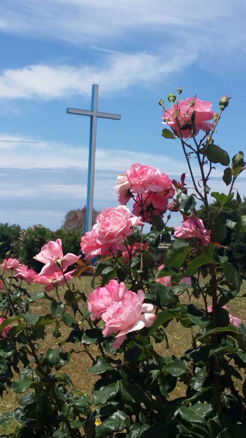 Rose alla casa del padre celeste