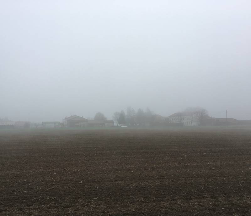 Nebbia nella bassa