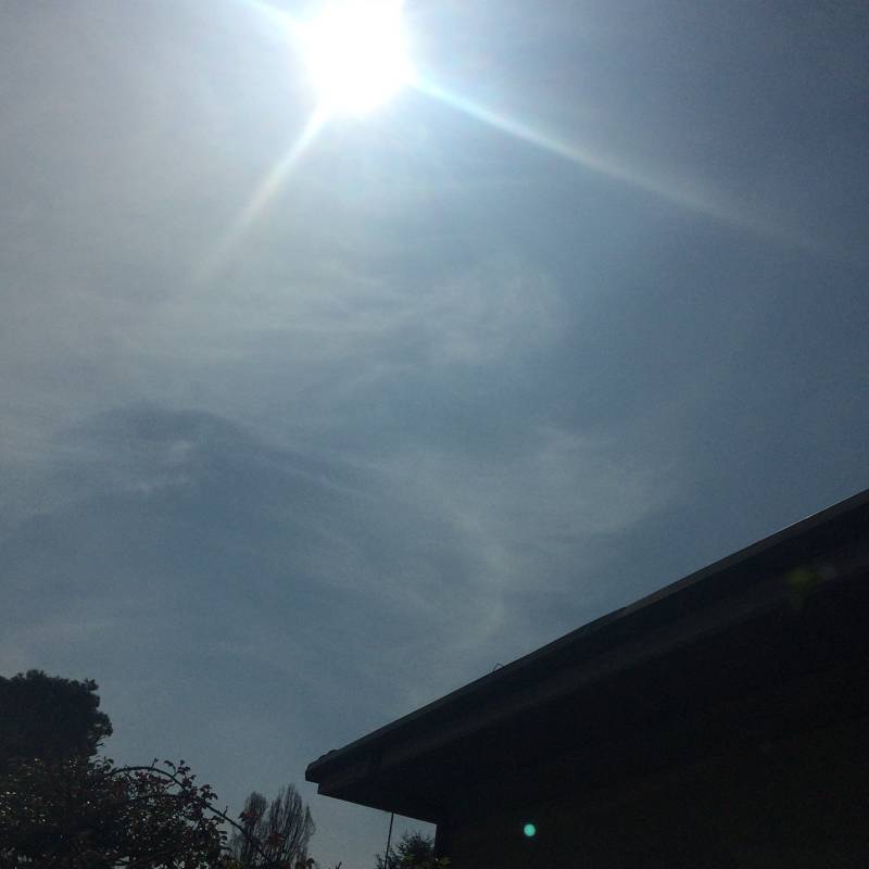 Fotosegnalazione di Varese